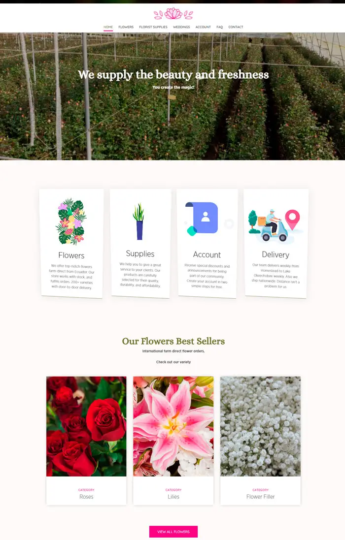 portfolio